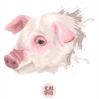 Anul porcului (mistrețului) conform horoscopului chinezesc: ideal din toate punctele de vedere sau o persoană cu voință slabă
